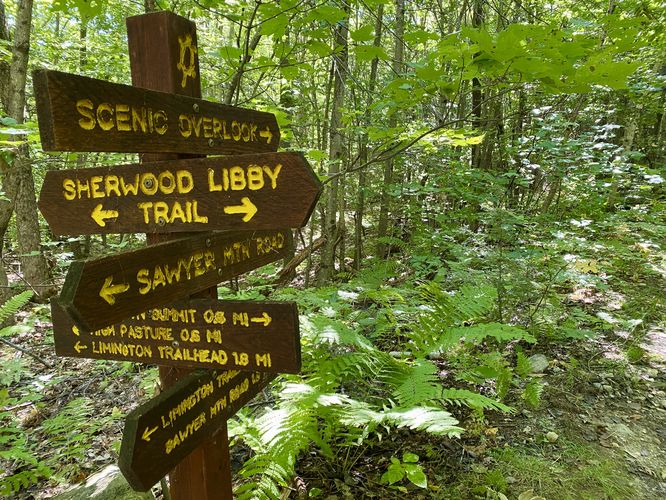 Picture 15 of Sawyer Mountain and High Pasture Loop