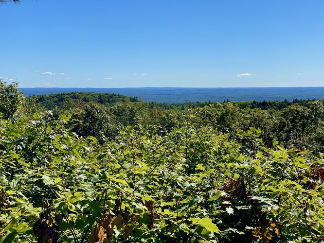 Overlook on Sawyer Mountain