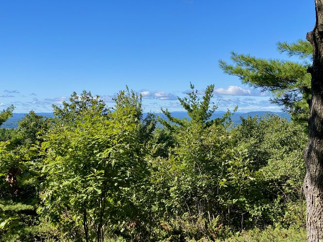 Obstructed view atop Sawyer Mountain