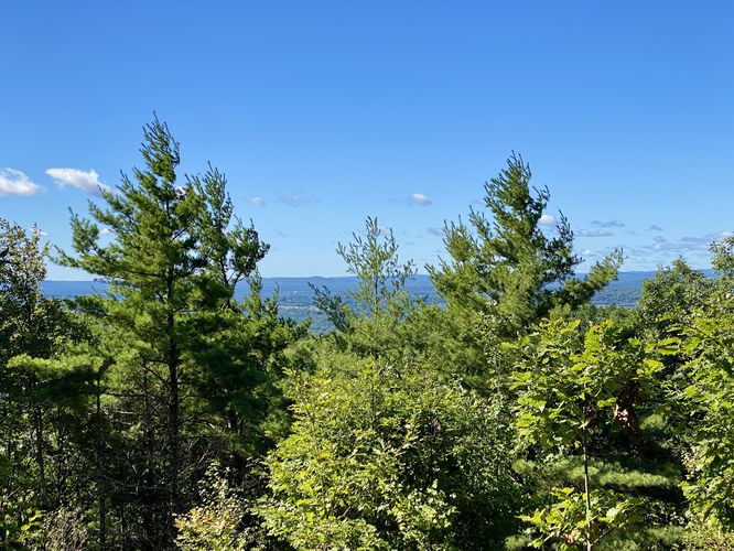 Obstructed view atop Sawyer Mountain