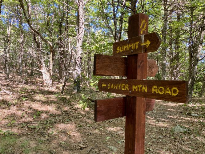 Trail junction for Sawyer Mountain Summit and Sawyer Mtn Road
