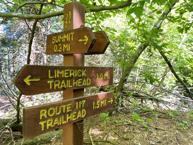 Sawyer Mountain Road leads back to parking