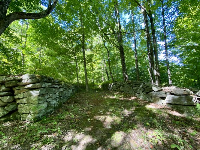 Old barn foundation