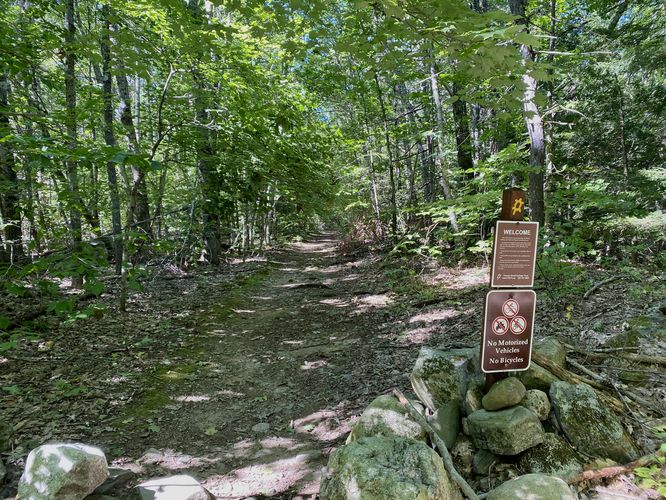 End of trail along Sawyer Mountain Road -- near trailhead parking