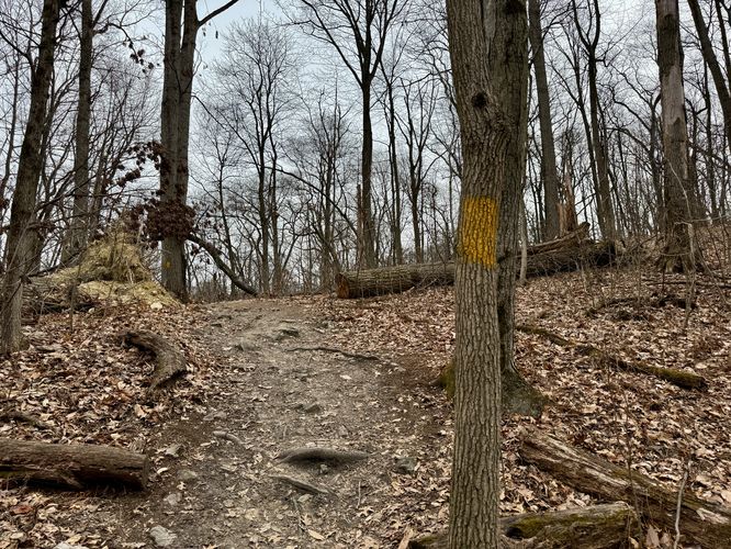 Yellow blazes lead out to Schull's Rock