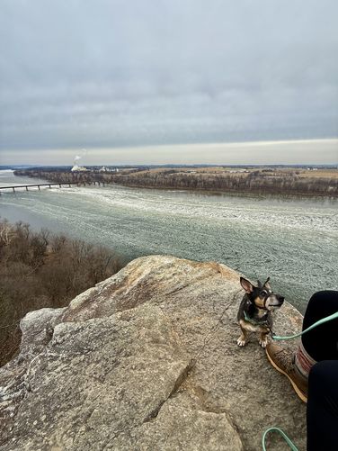 Jax on Schull's Rock
