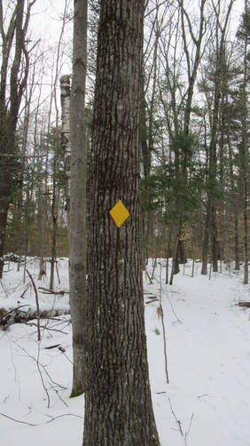 Trail marker changes to yellow on Summit West Trail