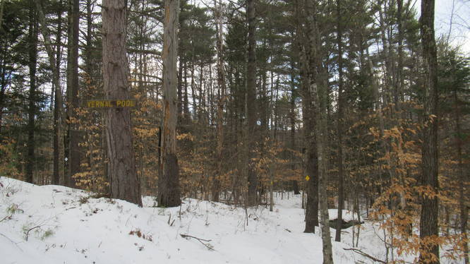 Vernal Pool sign is a landmark for correct travel direction