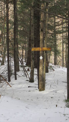 Scot's Trail splits and goes back to white diamond trail blaze markers