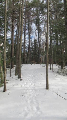 Trail continues over a stream and up a small hill where tracks from cross country skiis could be seen