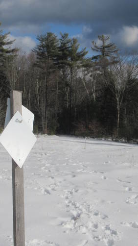 Second trail marker beyond the first  leading back to the woods
