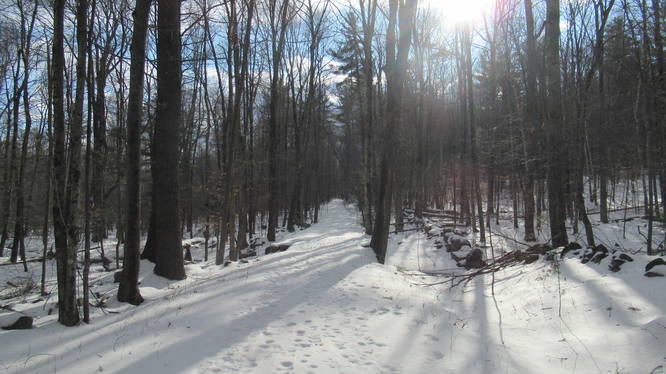 Wide snowy trail