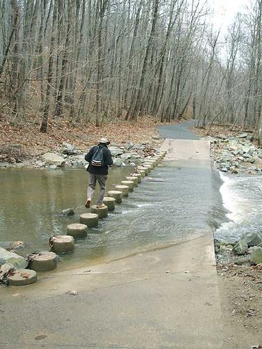 Picture 4 of Scotts Run Nature Preserve Hike 011405