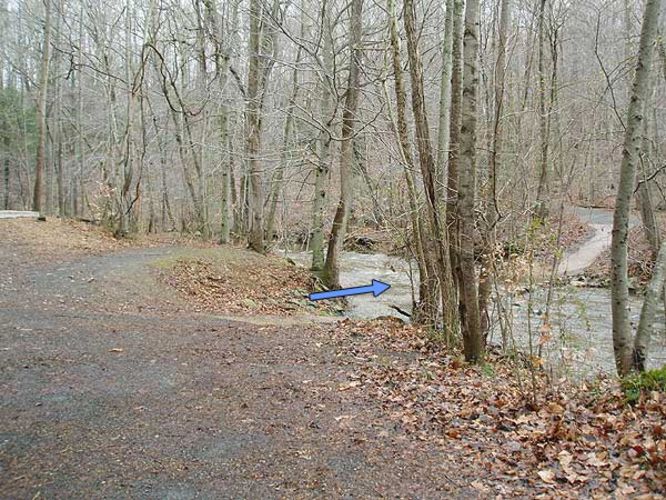 Picture 6 of Scotts Run Nature Preserve Hike 011405