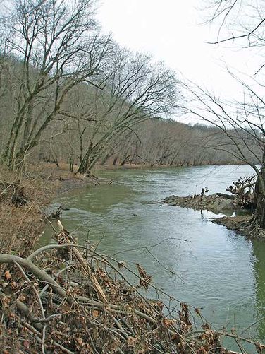 Picture 13 of Scotts Run Nature Preserve Hike 011405