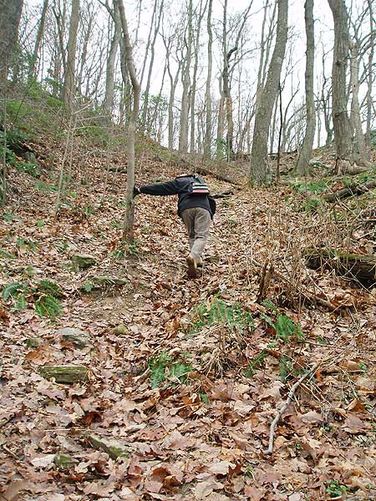 Picture 19 of Scotts Run Nature Preserve Hike 011405