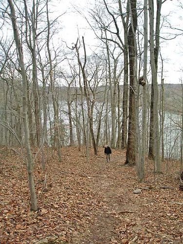 Picture 21 of Scotts Run Nature Preserve Hike 011405