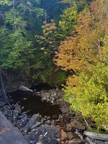 Picture 9 of Sept 30th