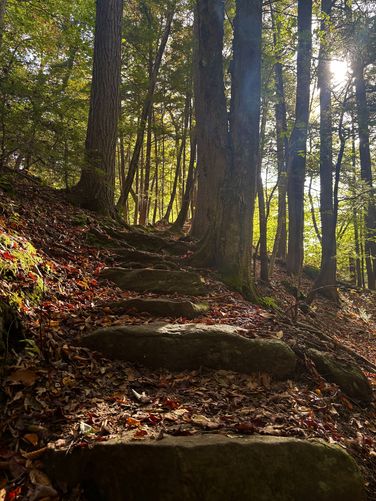 Picture 8 of Sept 30th