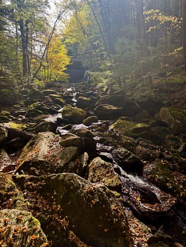 Picture 11 of Sept 30th