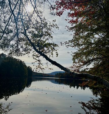 Picture 12 of Sept 30th