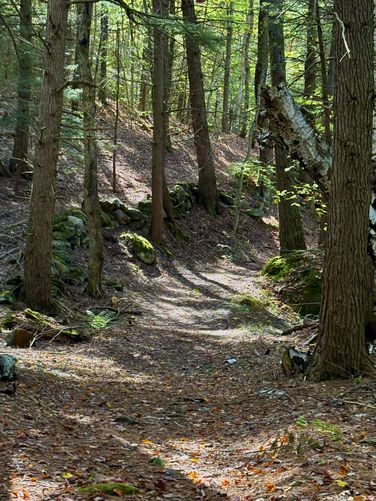 Picture 4 of Sept 30th