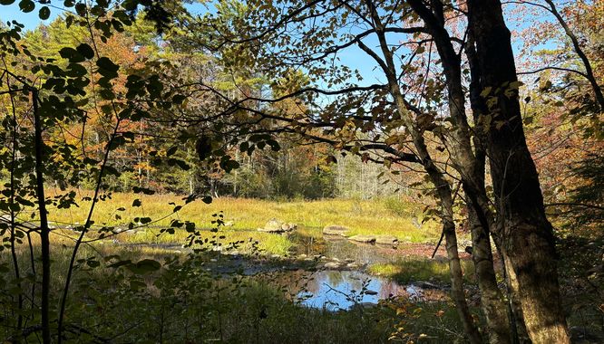 Picture 3 of Sept 30th