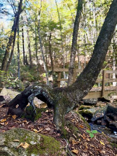 Picture 2 of Sept 30th