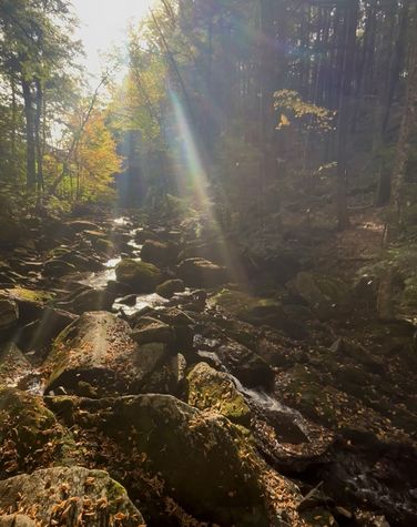 Monadnock Sunapee & Eliza Adams Gorge Hike - Sept 30th album