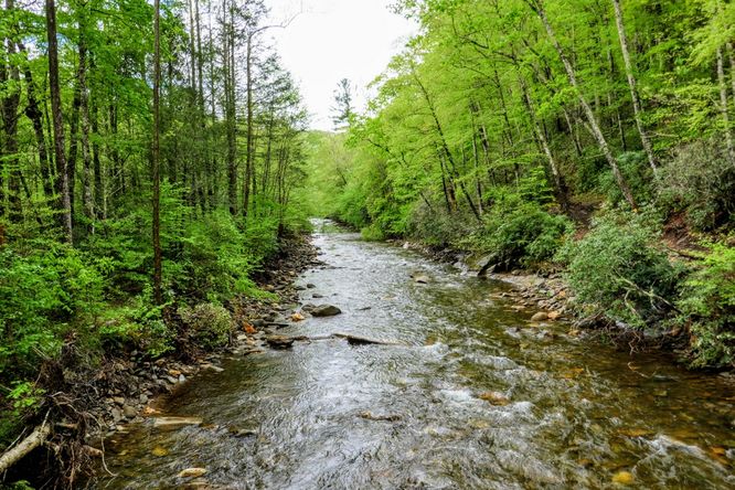 Picture 10 of Setrock Creek Falls and South Toe River 050519