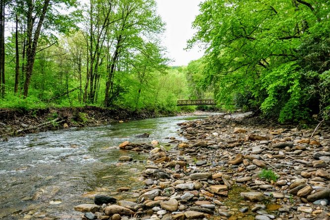 Picture 11 of Setrock Creek Falls and South Toe River 050519