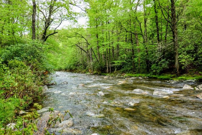 Picture 29 of Setrock Creek Falls and South Toe River 050519