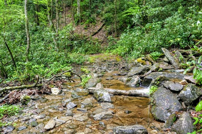 Picture 30 of Setrock Creek Falls and South Toe River 050519