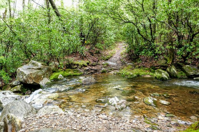 Picture 32 of Setrock Creek Falls and South Toe River 050519