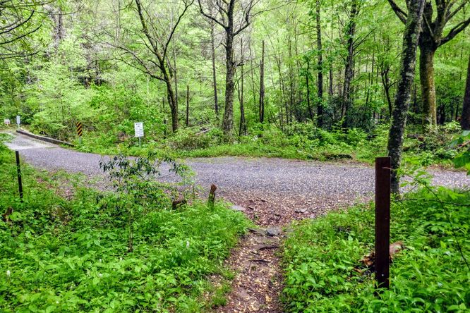 Picture 33 of Setrock Creek Falls and South Toe River 050519