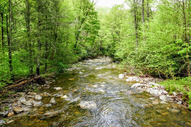 Picture 35 of Setrock Creek Falls and South Toe River 050519