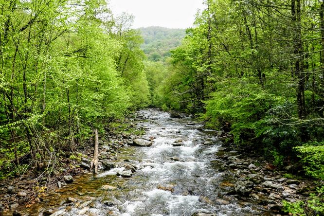 Picture 36 of Setrock Creek Falls and South Toe River 050519
