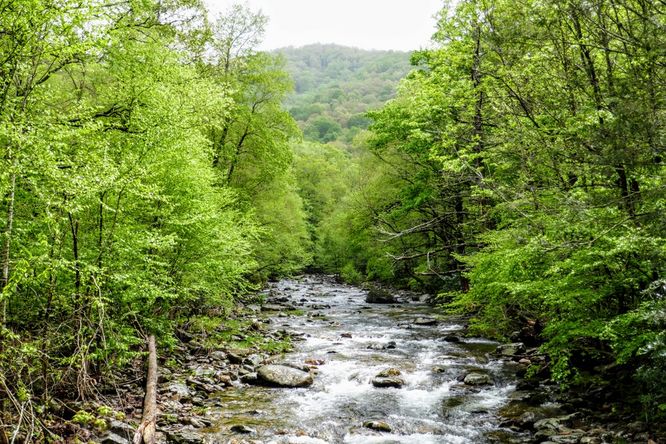 Picture 37 of Setrock Creek Falls and South Toe River 050519