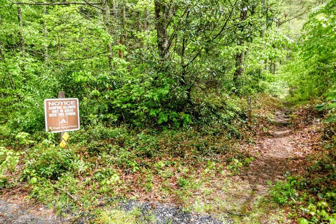 Picture 38 of Setrock Creek Falls and South Toe River 050519