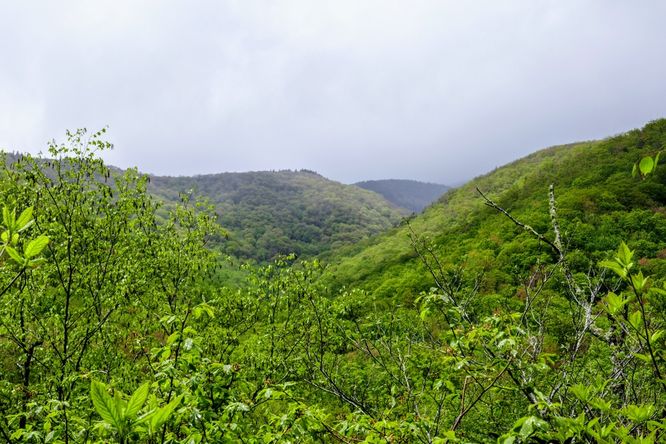 Picture 40 of Setrock Creek Falls and South Toe River 050519