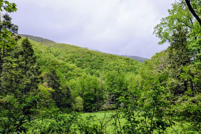 Picture 41 of Setrock Creek Falls and South Toe River 050519