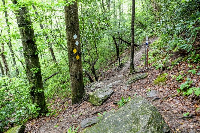 Picture 44 of Setrock Creek Falls and South Toe River 050519