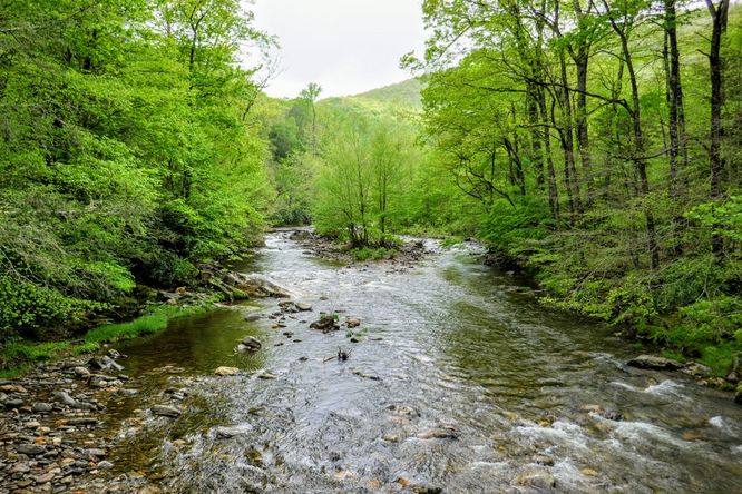 Picture 47 of Setrock Creek Falls and South Toe River 050519