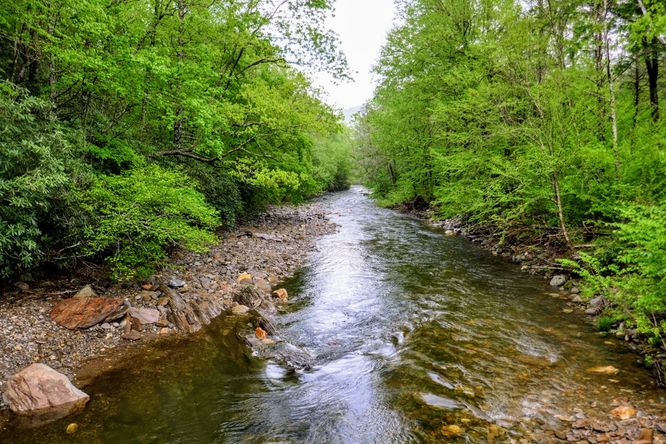 Picture 52 of Setrock Creek Falls and South Toe River 050519