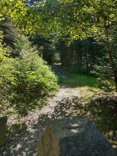 Entrance to trails