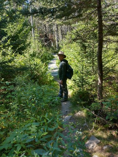 Trail substrate