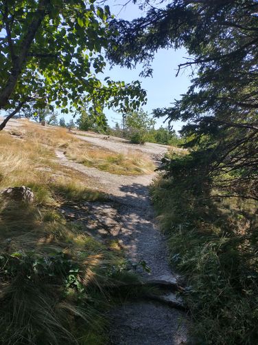 Viewing Platform appears from the trail