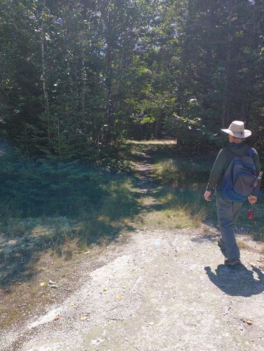 Pathway to the Grout Pile Trail