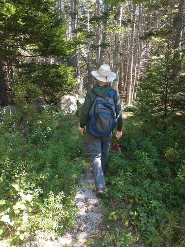 Grout Pile trail heads off into the woods