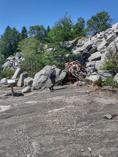 Remnant of the Old Pole head derrick